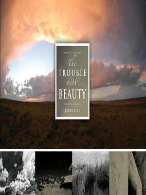 cover image of The Trouble with Beauty